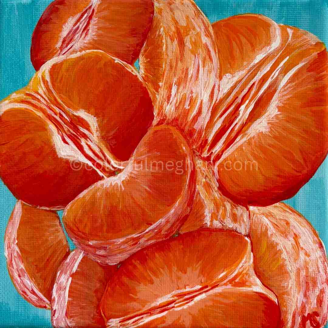 Mandarins - 6