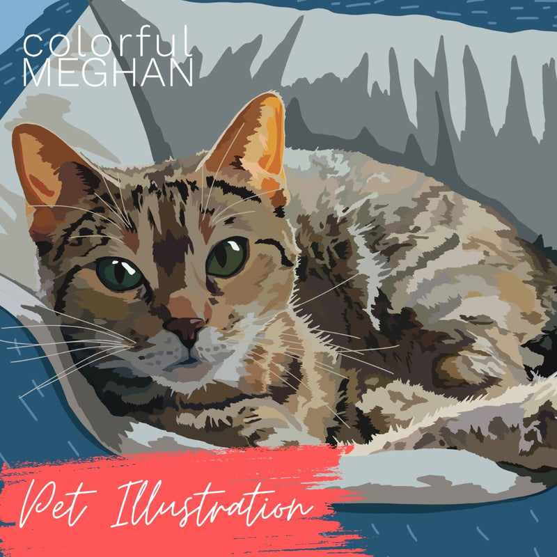 pet illustration of cat